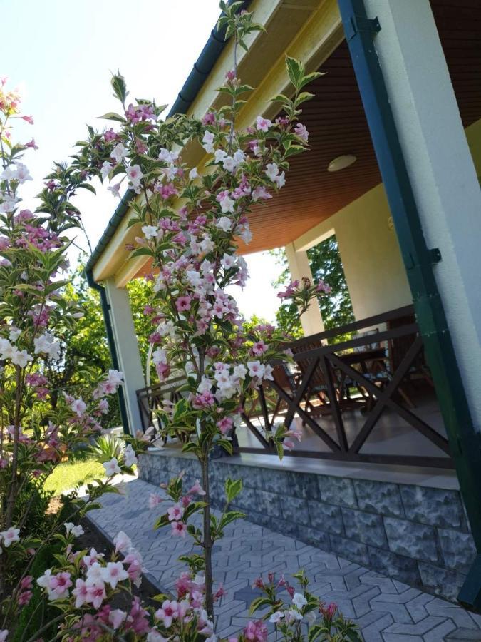 Villa Rokiti Eksteriør bilde