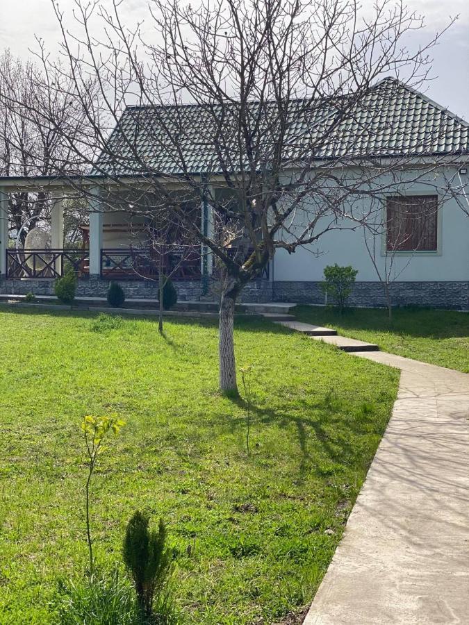 Villa Rokiti Eksteriør bilde