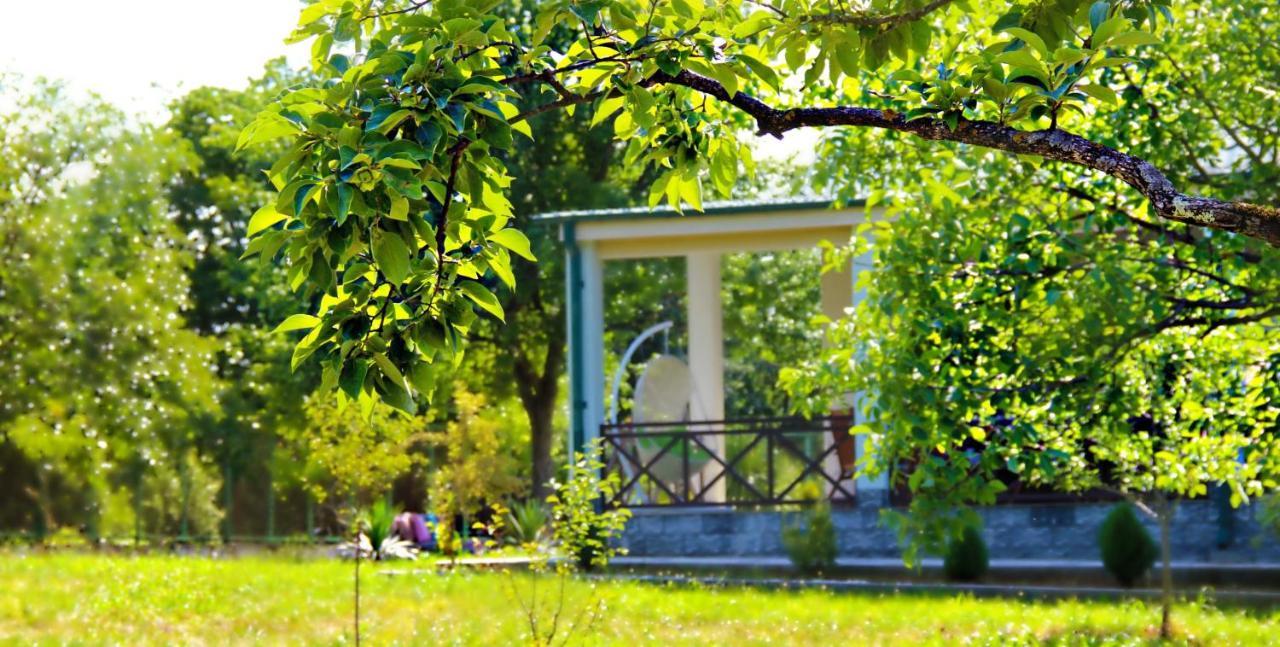 Villa Rokiti Eksteriør bilde